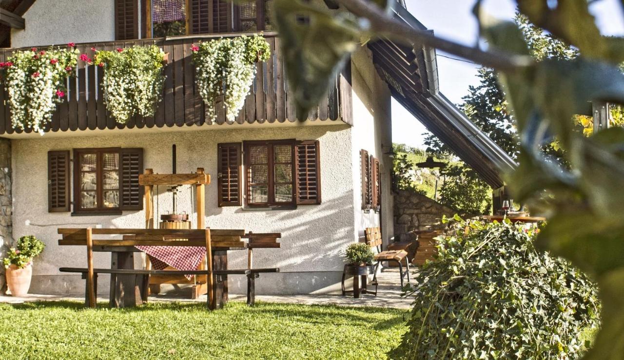 Vineyard Cottage Podrzaj Otocec Ngoại thất bức ảnh