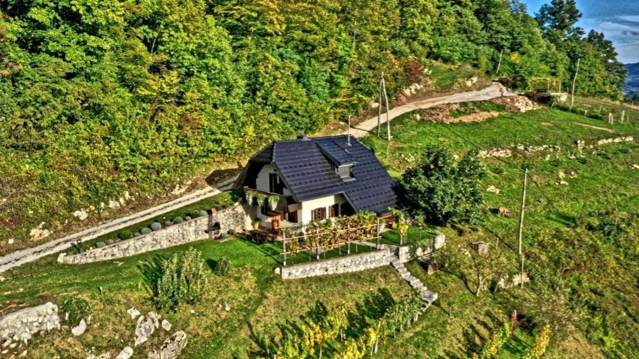 Vineyard Cottage Podrzaj Otocec Ngoại thất bức ảnh