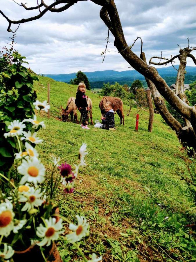 Vineyard Cottage Podrzaj Otocec Ngoại thất bức ảnh