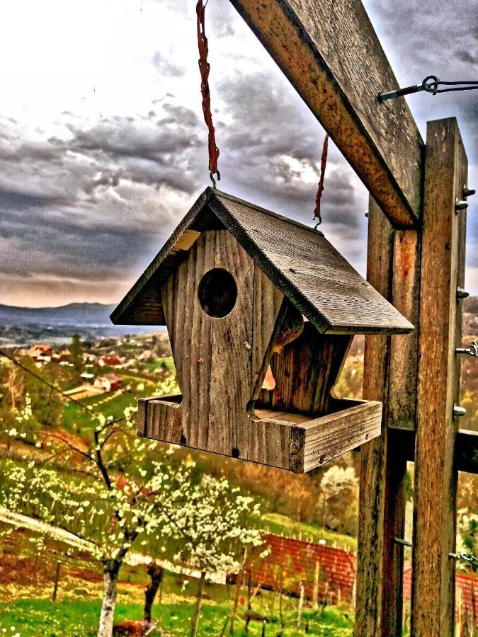 Vineyard Cottage Podrzaj Otocec Ngoại thất bức ảnh