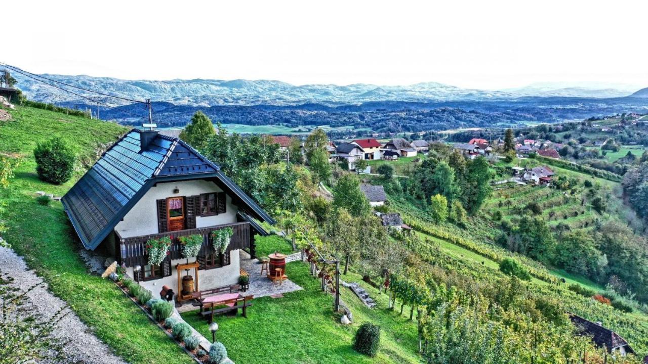Vineyard Cottage Podrzaj Otocec Ngoại thất bức ảnh