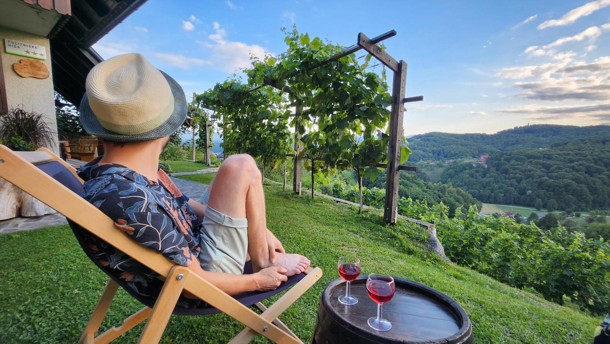 Vineyard Cottage Podrzaj Otocec Ngoại thất bức ảnh